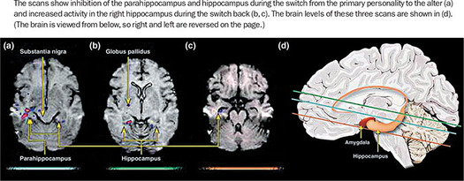 Figure 371