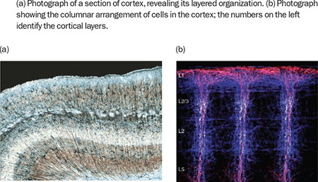 Figure 44