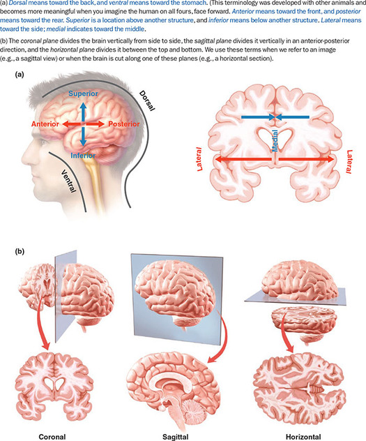 Figure 47