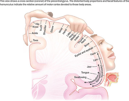 Figure 48