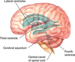 Figure 53