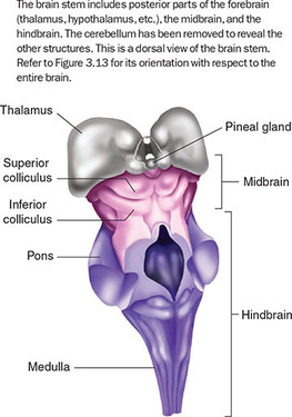 Figure 54