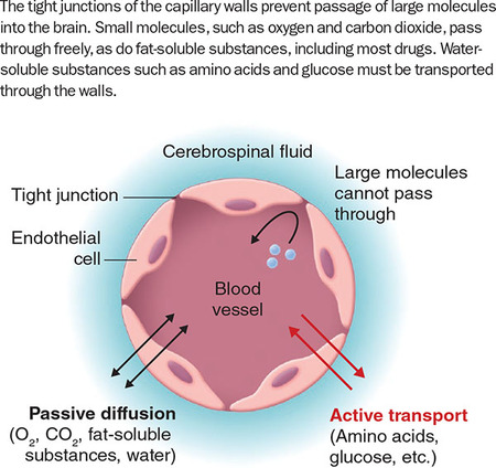 Figure 56