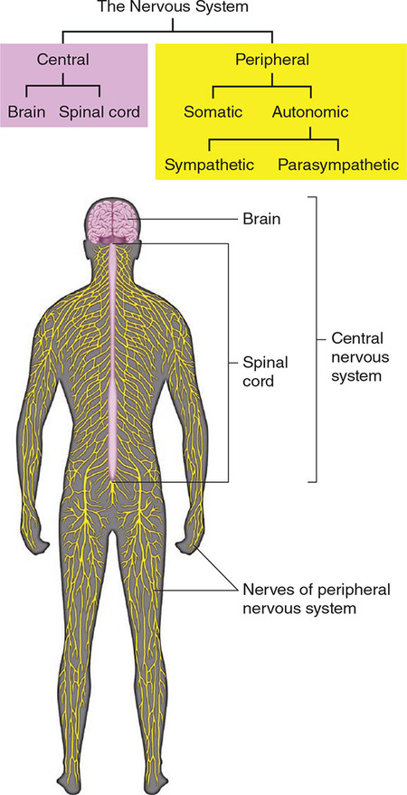 Figure 57