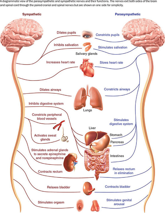 Figure 59