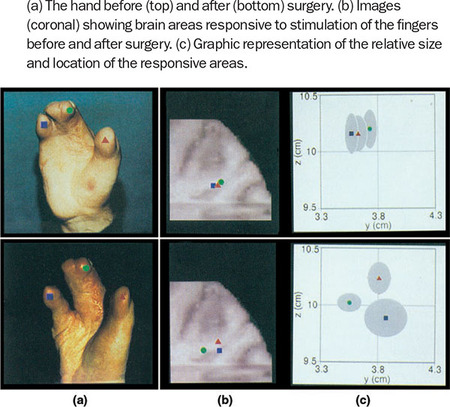 Figure 64