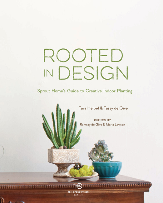 Rooted in Design: Sprout Home's Guide to Creative Indoor Planting