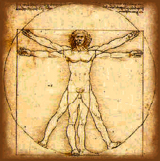 images/png/vitruvian.png