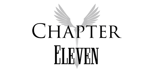 Chapter Eleven