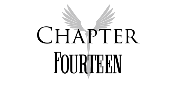 Chapter Fourteen