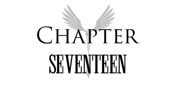 Chapter Seventeen