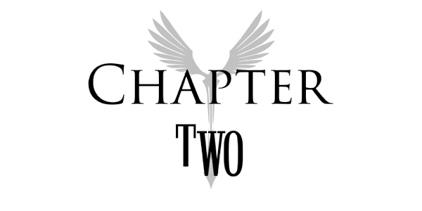 Chapter 2