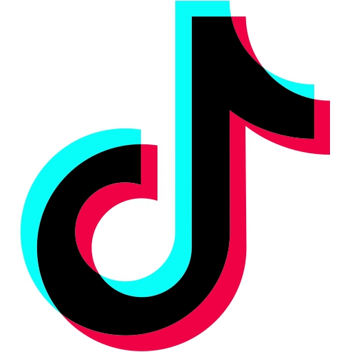 TikTok Icon