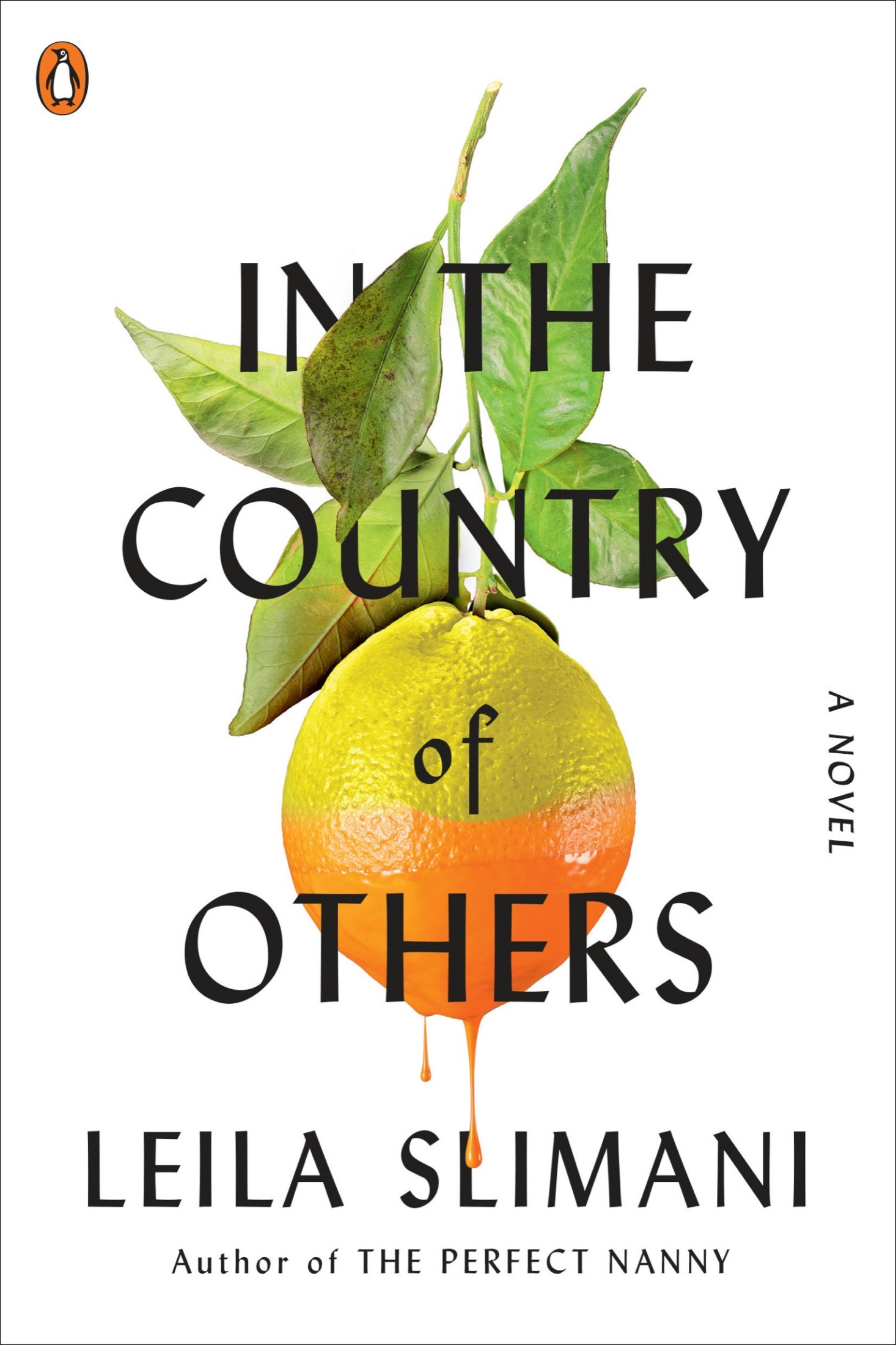 Cover for In the Country of Others