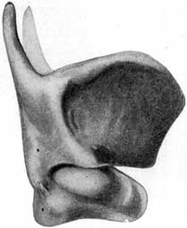 Fig. 20