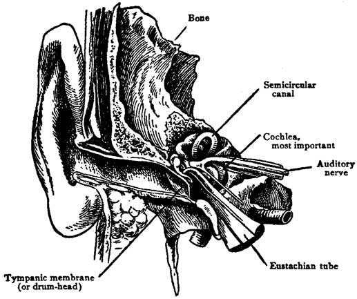 Fig. 60