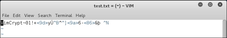 VIM –the power user's text editor of choice