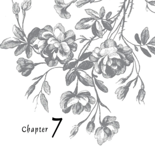 Chapter 7