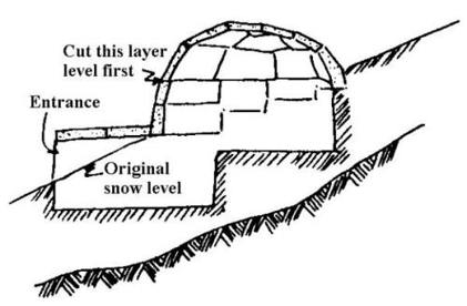 Igloo