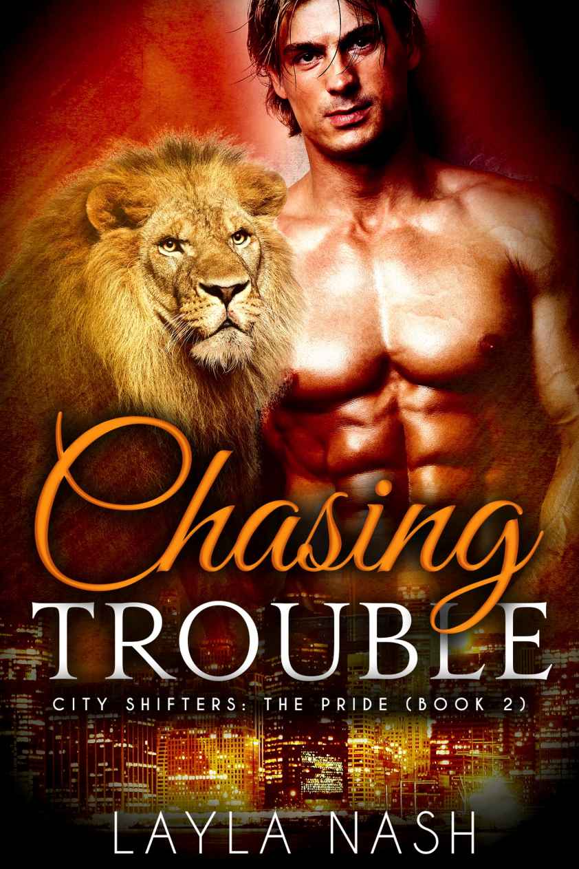 Cover for Chasing Trouble