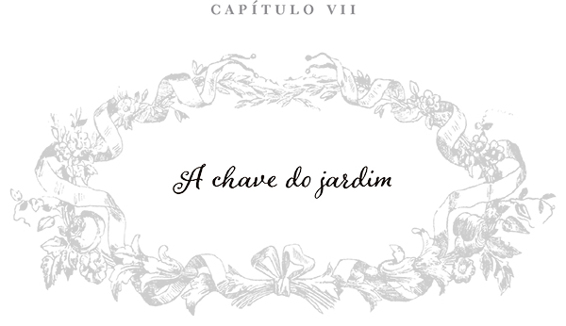 Capítulo VII