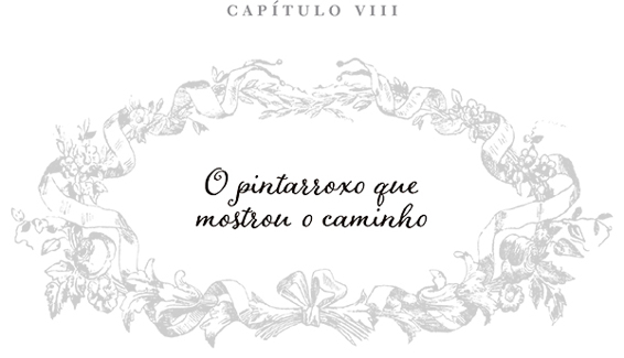 Capítulo VIII