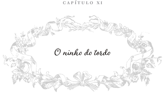 Capítulo XI