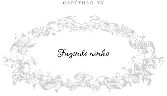 Capítulo XV