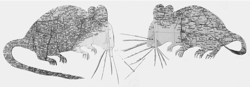 Figure 4.2.4 Map Mice (2012). Copyright Helen Scalway