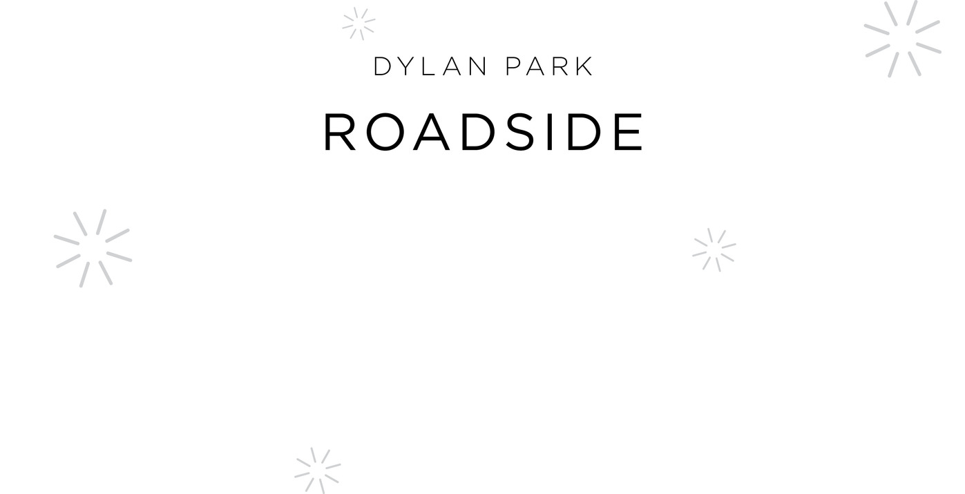 Dylan Park Roadside