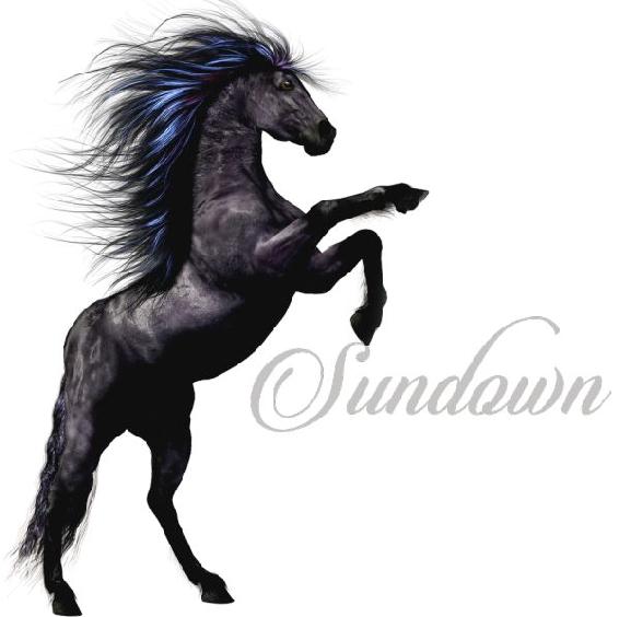 1_book_sundown chapter horse