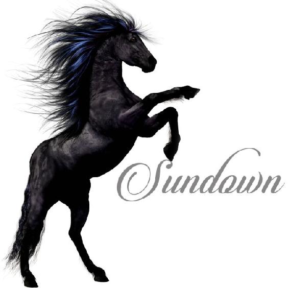 1_book_sundown chapter horse