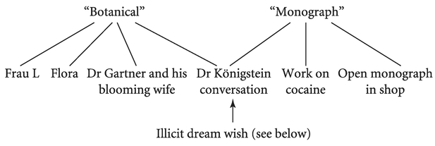 Figure 3.3 The condensations in the “botanical monograph” dream