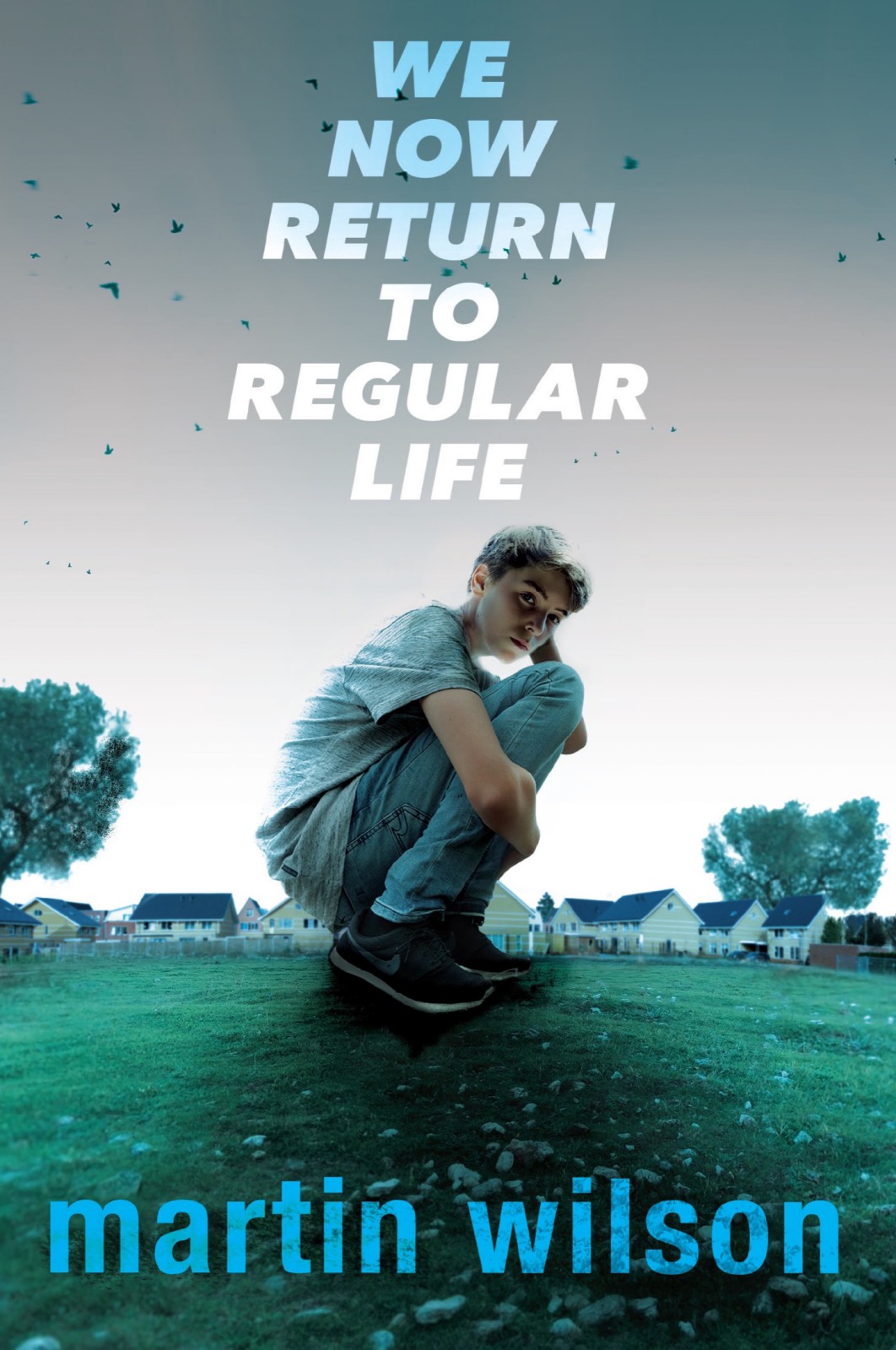 Cover for We Now Return to Regular Life