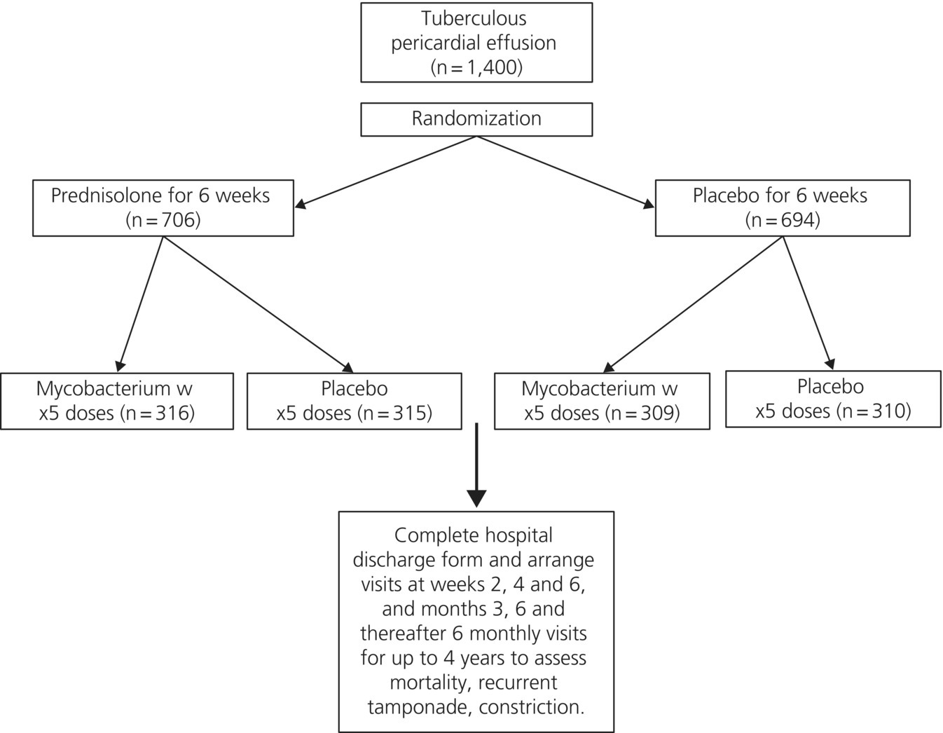 Algorithm for management of tuberculous pericardial effusion from randomization to administering prednisolone or placebo for 6 weeks to mycobacterium in 5 doses to complete hospital discharge.