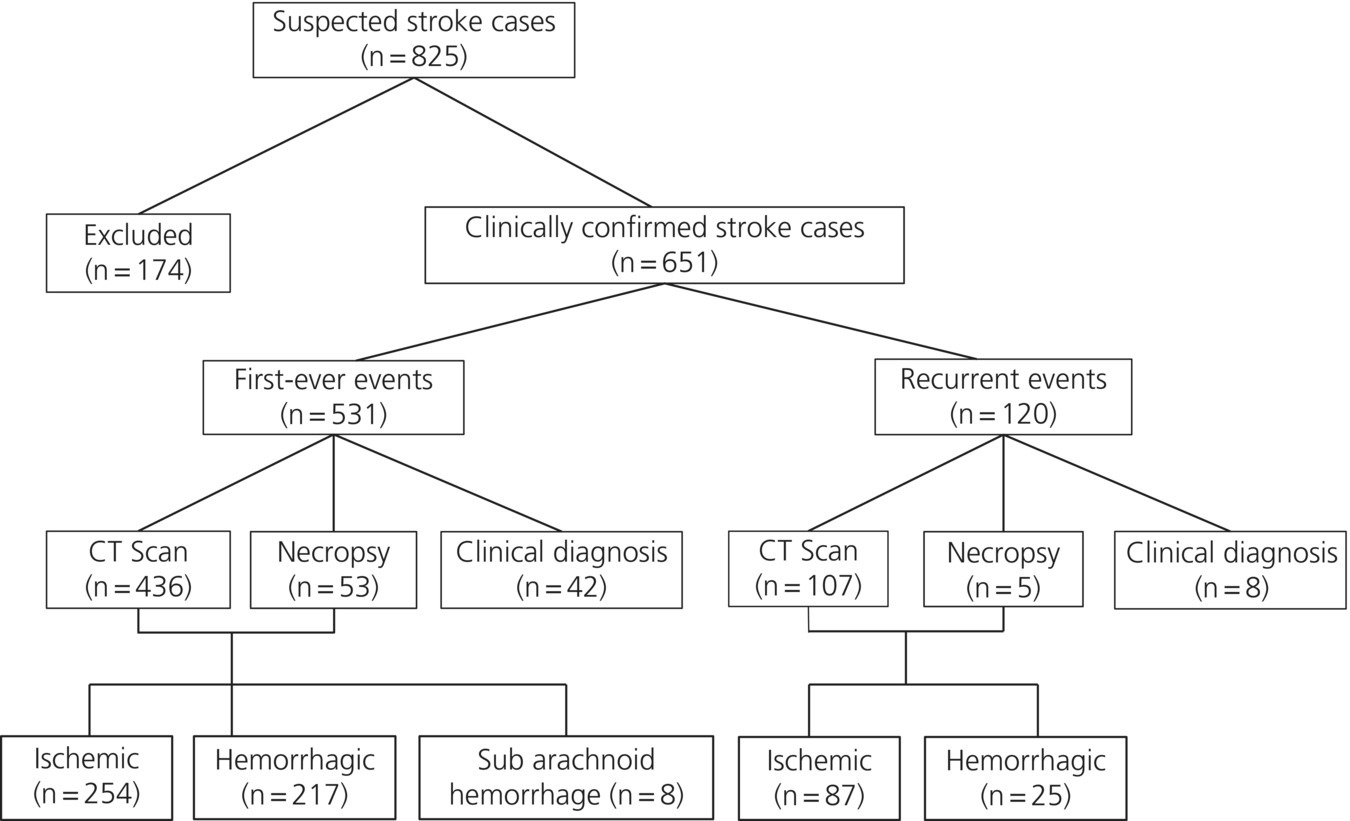 Tree diagram of the incidence, exclusion, diagnosis, and type of stroke events.