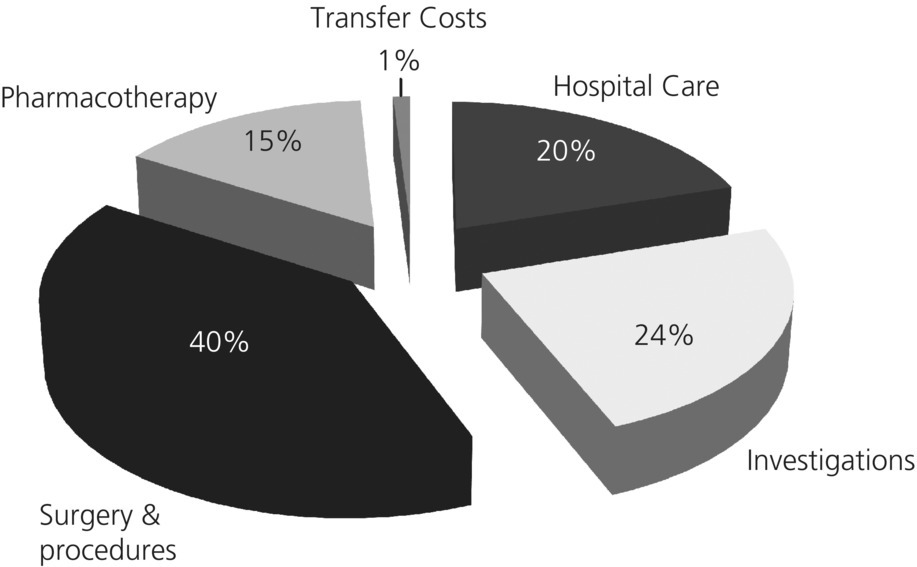 Exploded pie chart of the components of direct in-patient costs: surgery and procedures (40%), investigations (24%), hospital care (20%), pharmacotherapy (15%), and transfer costs (1%).