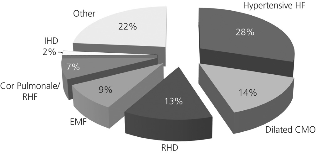 Exploded pie chart of the major causes of heart failure in Nigeria in the late 1960s: hypertensive HF (28%), dilated CMO (14%), RHD (13%), EMF (9%), RHF (7%), IHD (2%), and other (22%).