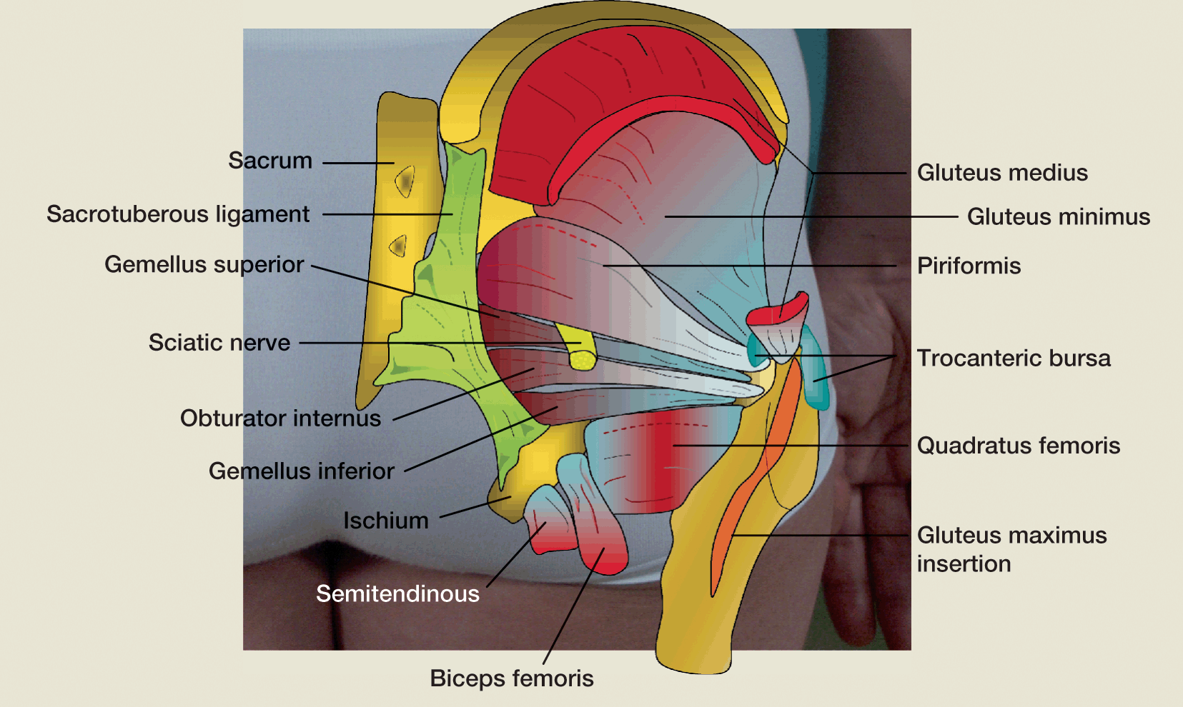 A978-1-84882-581-9_12_Fig2_HTML.gif