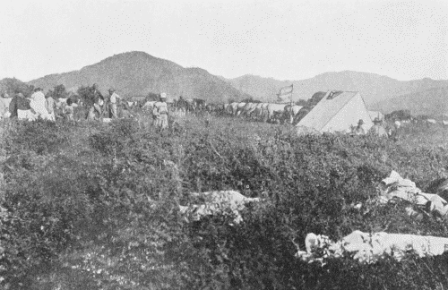 CAMP AT ARROYO.