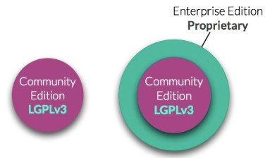 Figure 1.1 – Differences between the Community and Enterprise Editions