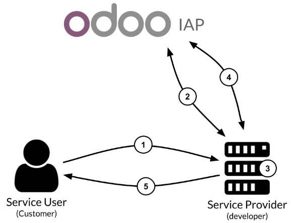 Figure 17.1 – IAP workflow
