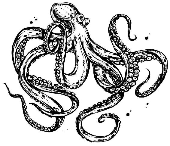 Illustration of an octopus in motion