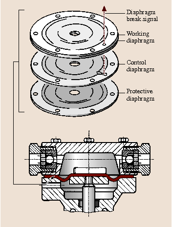 A978-3-540-30738-9_10_Fig55_HTML.png