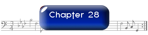 Chapter 28