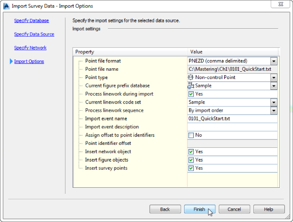 Import Survey Data – Import Options dialog box displaying the marked checkboxes for Process linework during import, Insert network object, Insert figure objects, and Insert survey points.