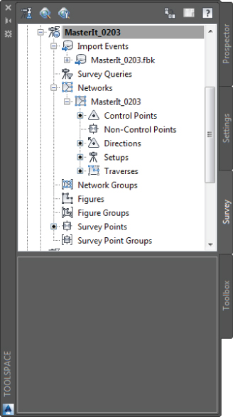 Screenshot of Toolspace palette presenting the Survey tab with the highlighted MasreIt_0203 category on the data tree.