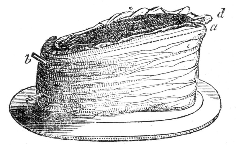 Edge Bone of Beef