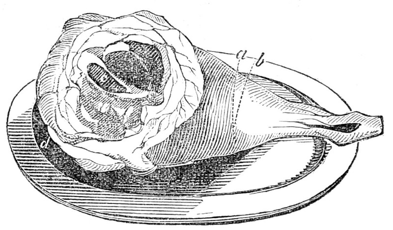 Leg of Mutton