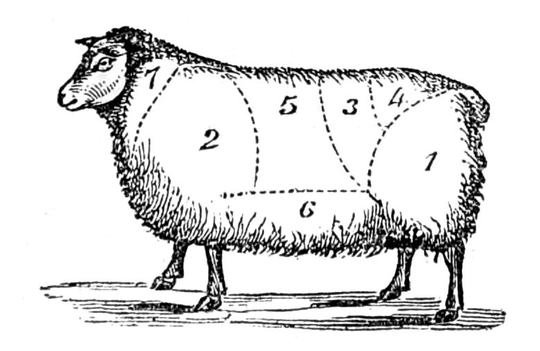 Joints of Mutton